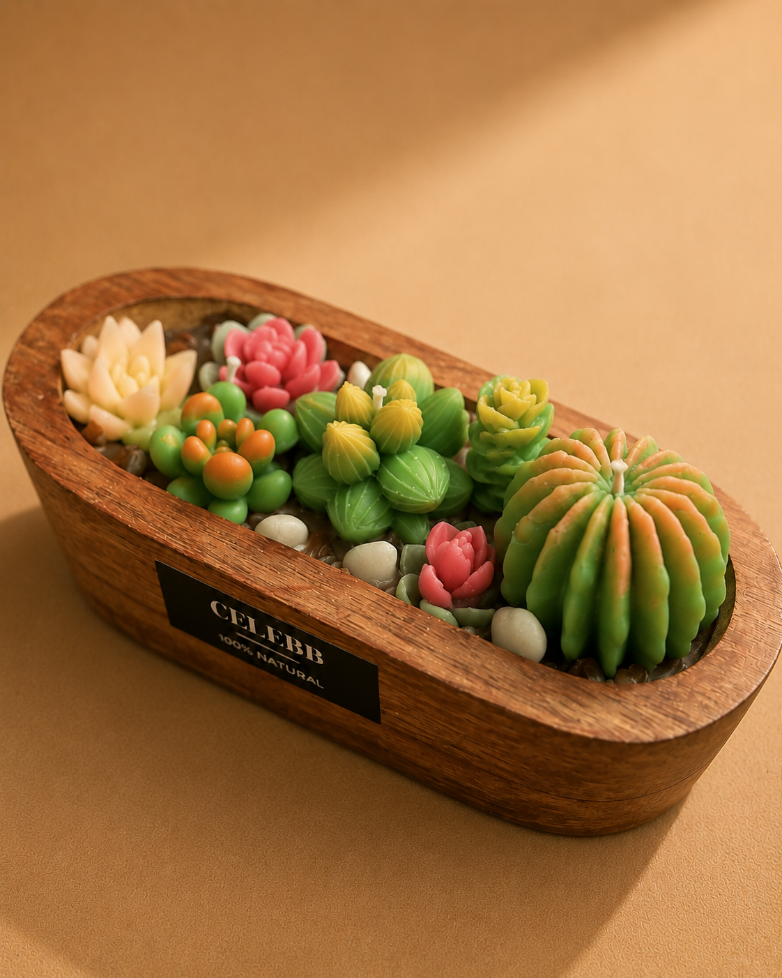Succulent
