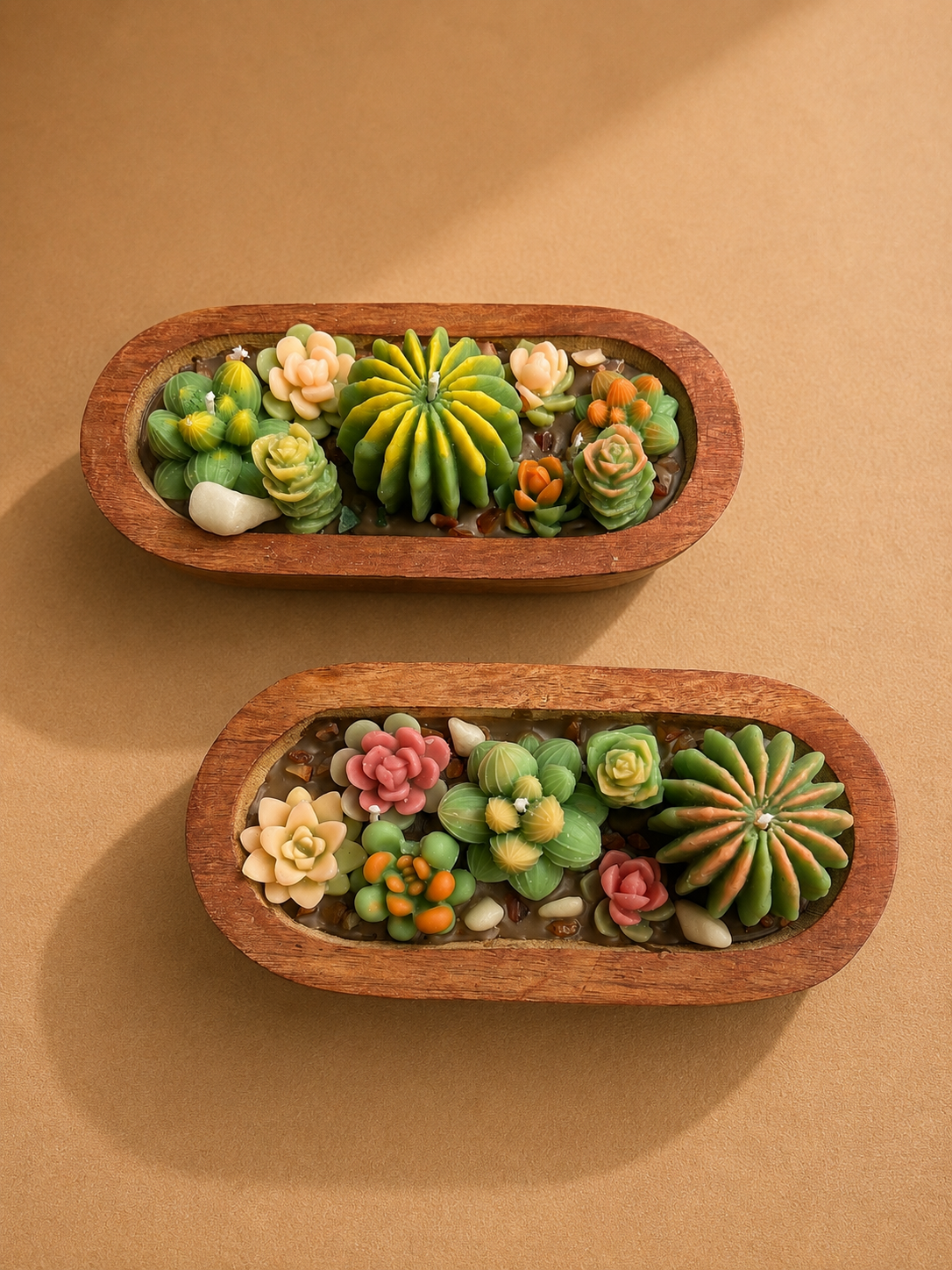 Succulent