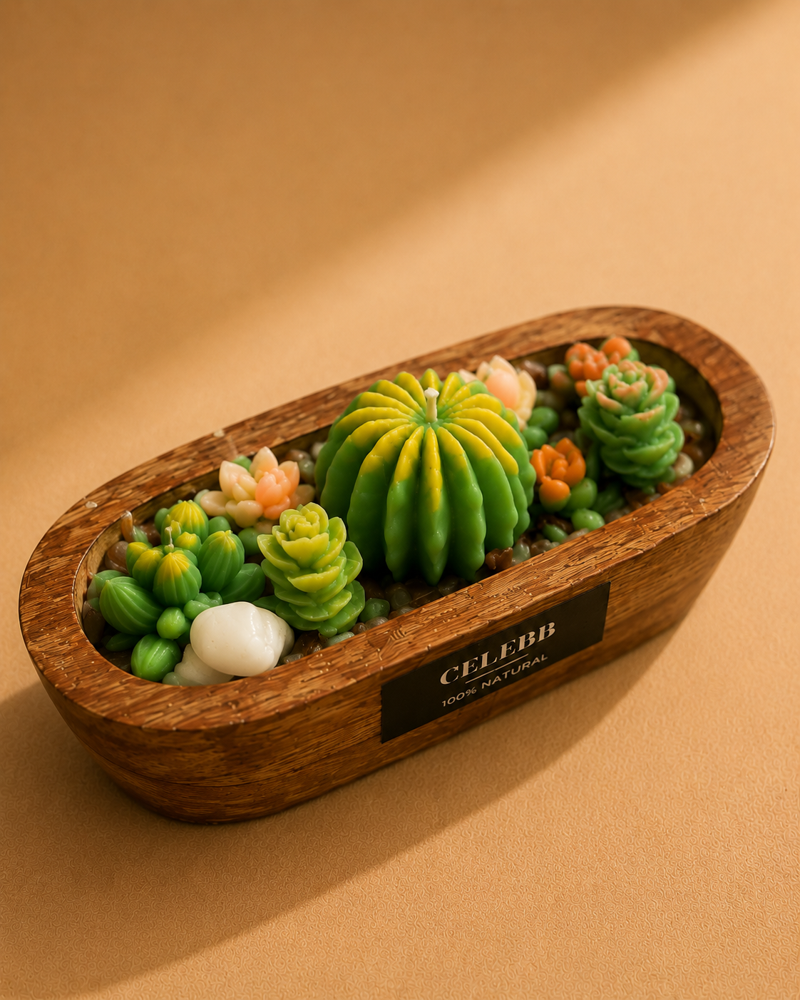 Succulent